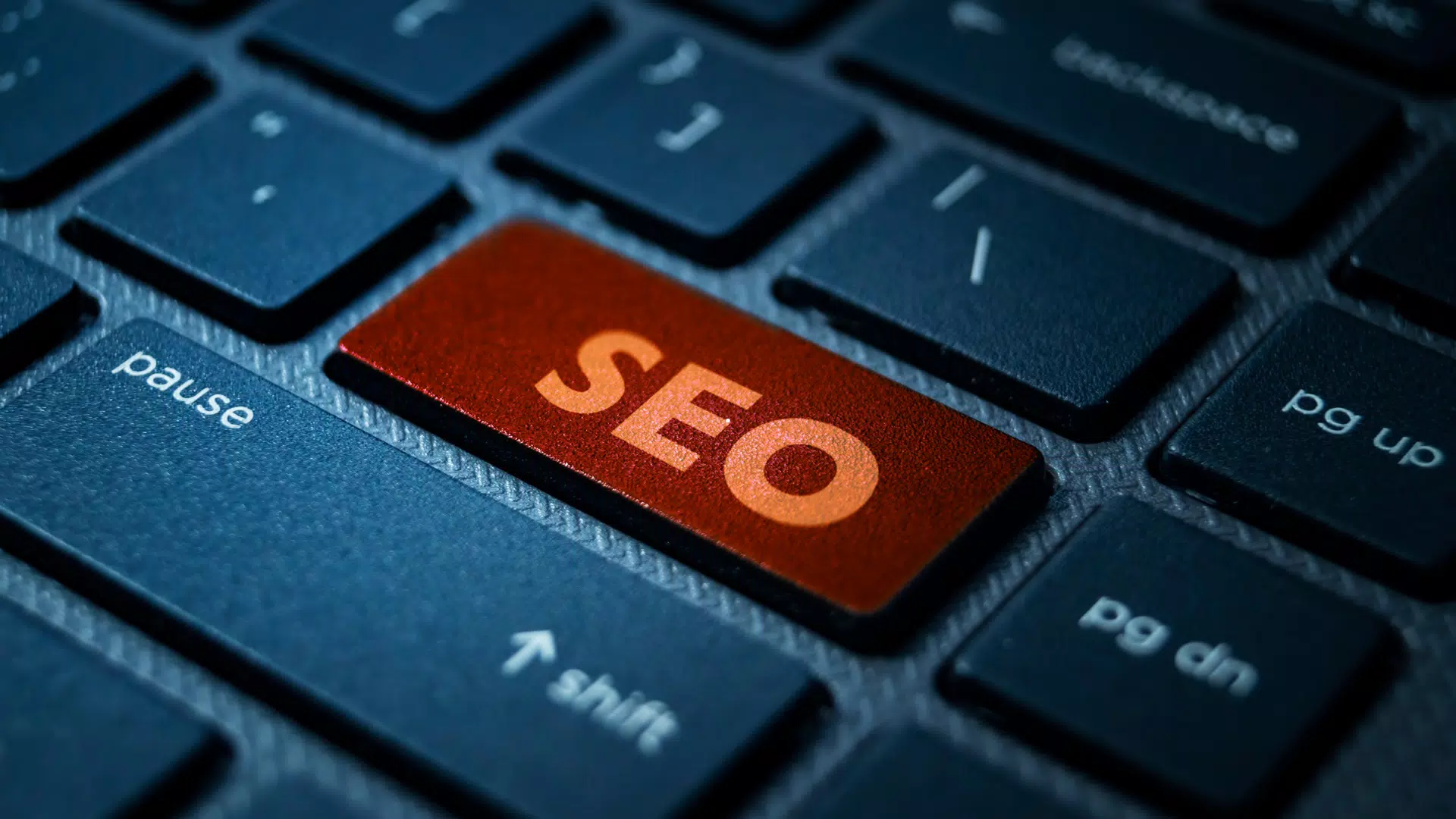 Kocaeli SEO Uzmanı