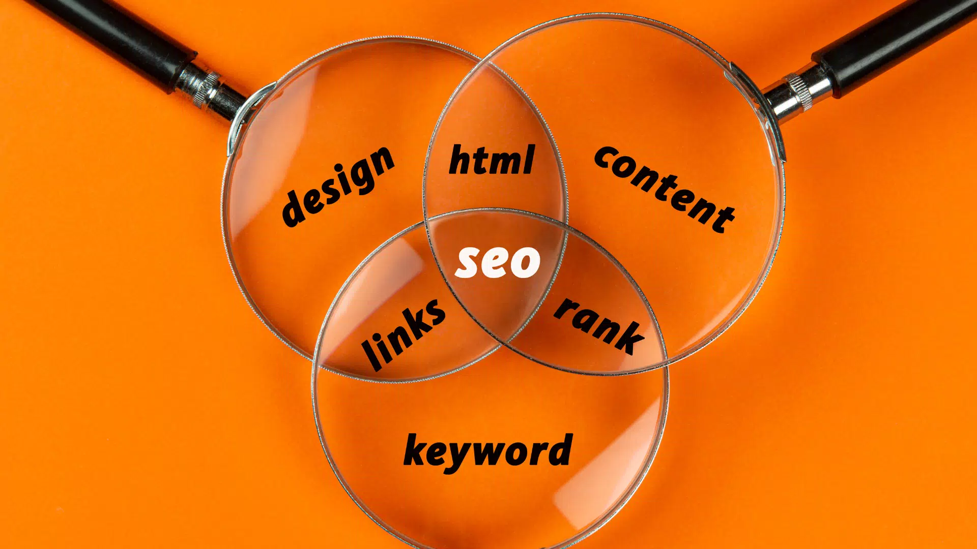 Trabzon Doktorlar İçin SEO