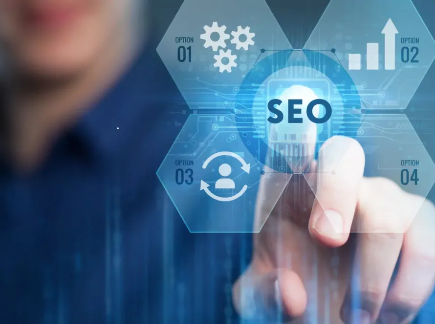 Nallıhan SEO Danışmanlığı