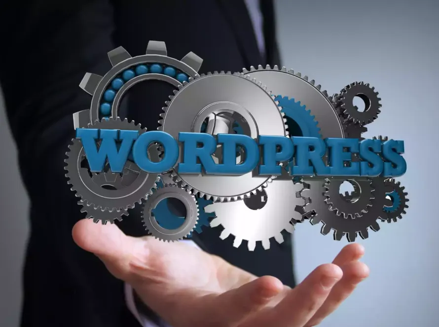 Kırklareli WordPress Web Tasarım