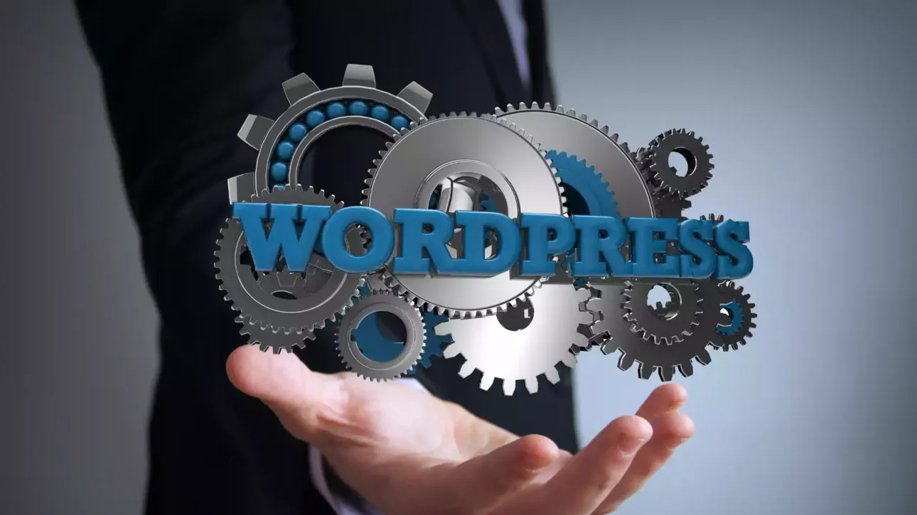 Sinop WordPress Web Tasarım