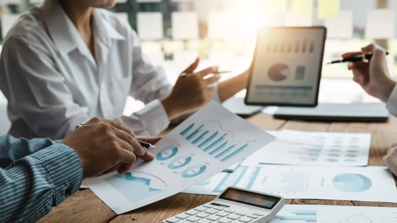 Serinhisar Ücretsiz Rakip Analizi