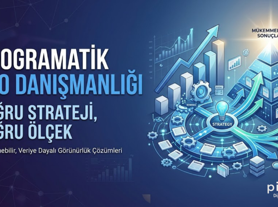 Programatik SEO Danışmanlığı